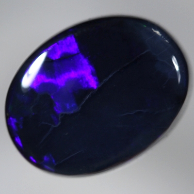 SOLID BLACK OPAL Electric royal blue moves in rolling flashes